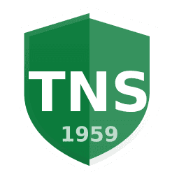 The New Saints crest